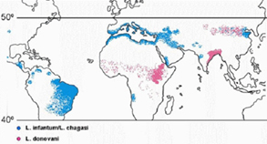 map_leishmania.jpg